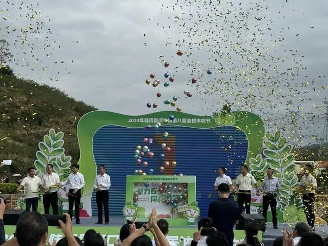 小油柑帶動(dòng)大致富，汕尾陸河田墩變“甜”墩