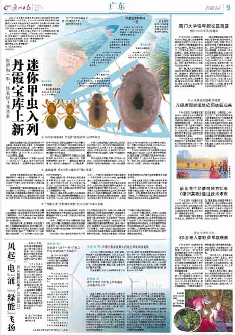 汕頭首個(gè)非遺類地方標(biāo)準(zhǔn)《潮陽英歌》通過技術(shù)審查
